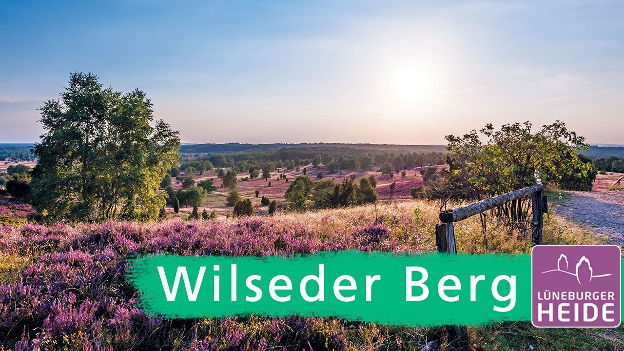 Beste Spielothek in DГ¶rnfeld an der Heide finden Beste Spielothek in DГ¶rnfeld an der Heide finden
