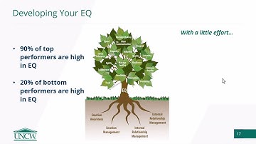 M-1-3 EQ + Pathway U