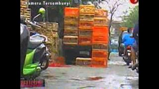 Download lagu TvOne 1109 Teror Ayam Tiren a