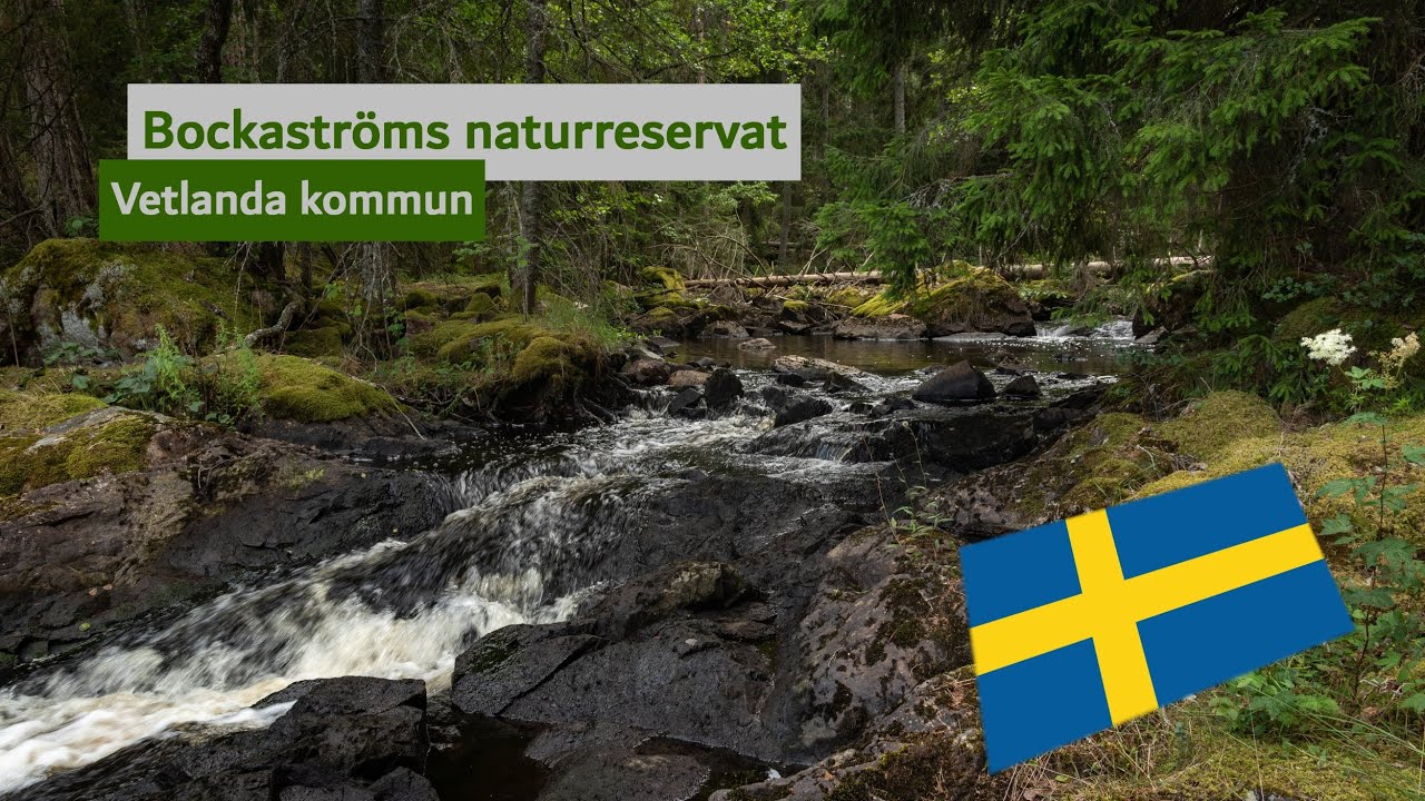 Schweden | Småland | Bockaströms naturreservat | Unbekanntes Naturparadies | Vetlanda kommun
