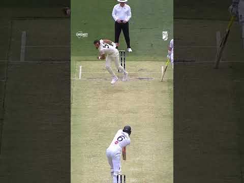 A wild Marnus appeared #Ashes