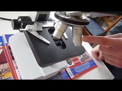 Video: Un microscopio da dissezione è un microscopio ottico?
