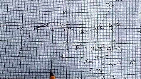 Graphs Of Polynomial(Cubic Functions) - 2021 P2 Made Easy Full Part.
