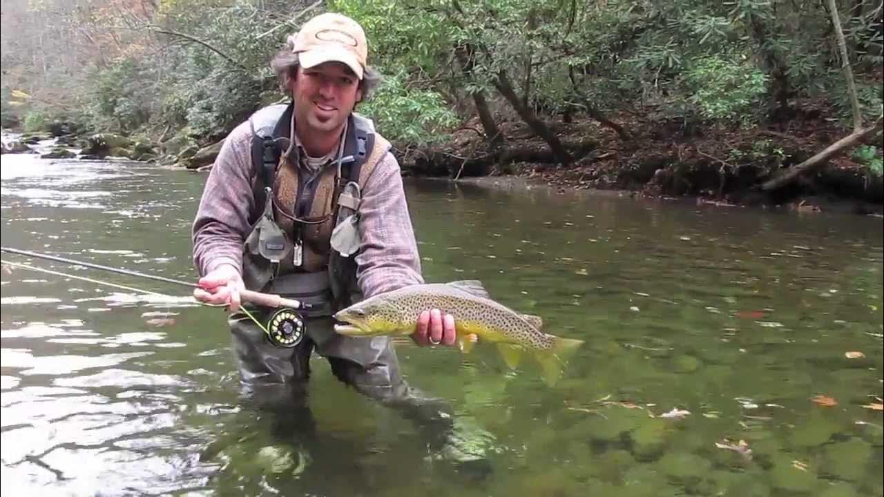 Fly Fishing for Large Brown Trout in the Smokies in the Fall YouTube