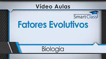 O que são os fatores evolutivos?
