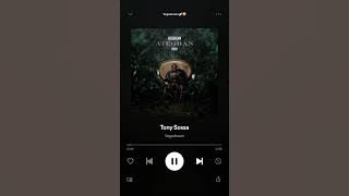 Vegedream - Tony Sossa