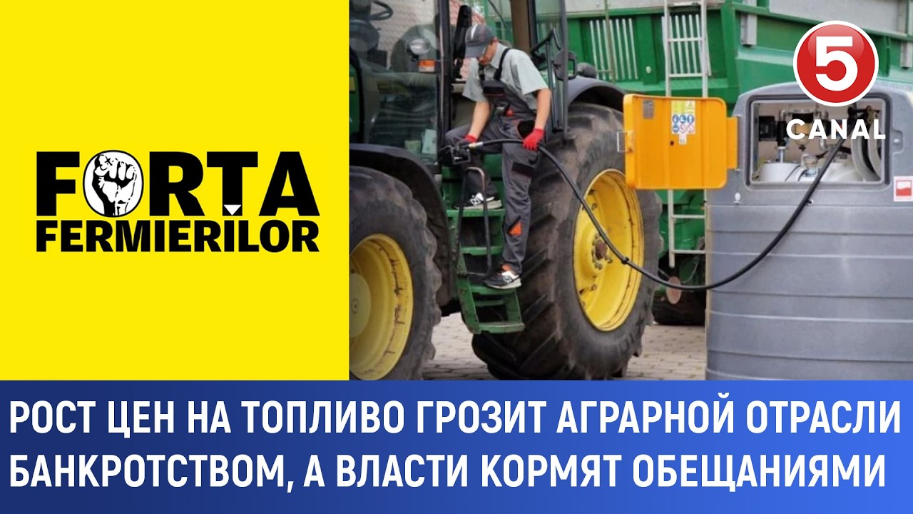 Рост цен на топливо грозит аграрной отрасли банкротством, а власти кормят обещаниями