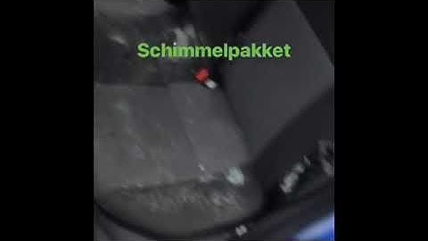Schimmel verwijderen uit auto