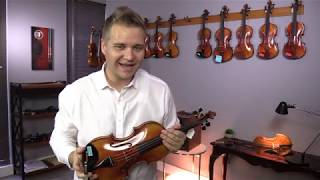 Sima Traian, Simon Joseph, Hiroshi Kono And Holstein Maggini For Denise