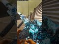 warzone clutch for the w
