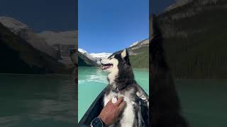 Oh, life is but a dream