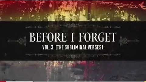 Jim root-before I forget guitar