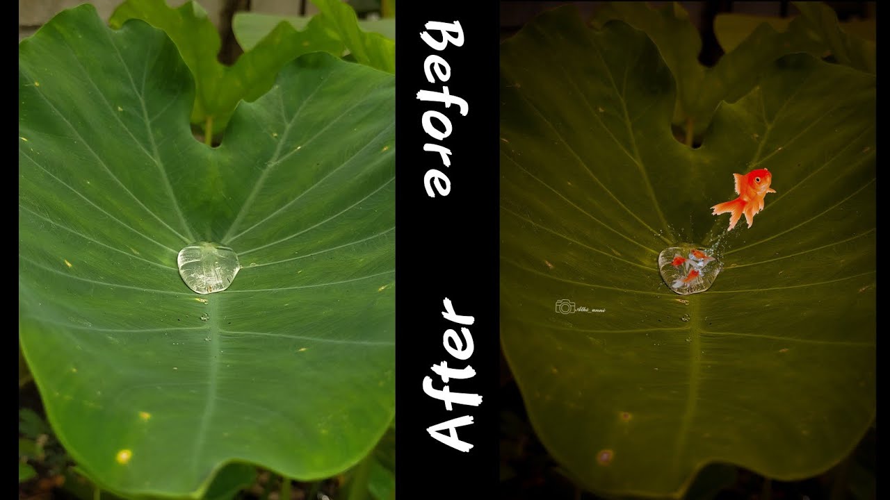 New Photography Picsart Tricks 2020 / Instagram Trending Photo Editing / Picsart Editing Tutorial /