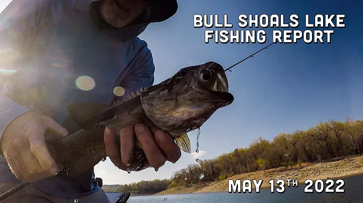 Bull Shoals Lake Fishing Report | May 13th 2022 | ...