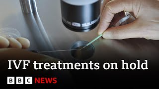 US hospital halts IVF after court says embryos are children | BBC News