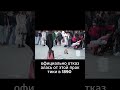 Полигамия и мормоны  мифы и реальность