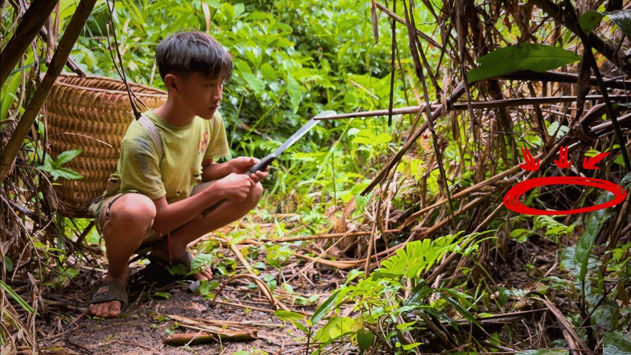 Orphan Boy Survives in The Deep Forest, Sets Traps, Catches Wild ...