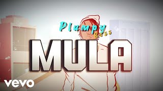 Plumpy Boss - Mula (Visualizer)