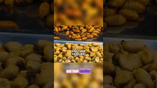 Escamol: Dare to Eat Mexico&#39;s Ancient Delicacy? #shorts