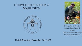 ESW: Phenomics and the Evolution of the Hymenoptera