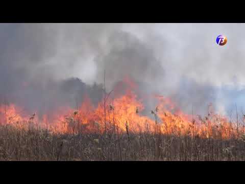 Выкса ТВ: в Туртапке загорелась трава