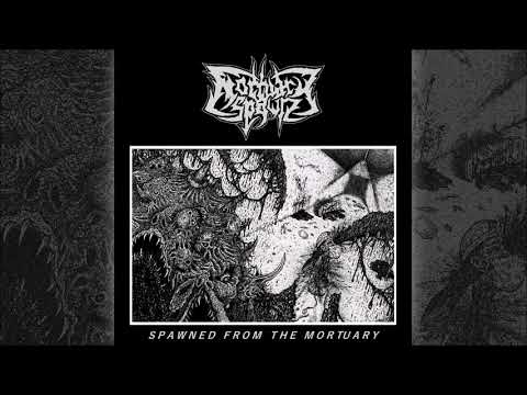 Mortuary Spawn — Mortuary Spawn (UK) - Spawned from the Mortuary (Full EP 2021)