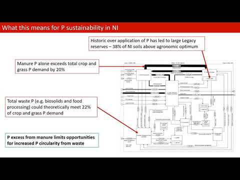 Phosphorus Substance Flow Analysis in Northern Ireland