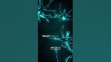 Robert Edward Grant: The Architect: How Mandela Effects Work | Emilio Ortiz Podcast