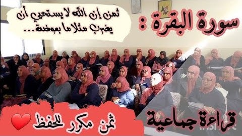 ثمن مكرر للحفظ ❤️《 إن الله لا يستحيي اي يضرب مثلا ما بعوضة...》سورة البقرة الحزب الأول