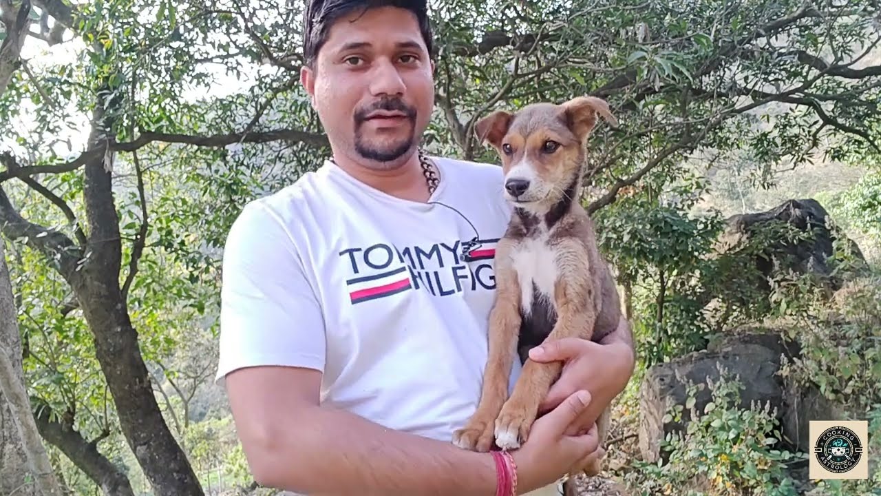 Ретроградная Венера в ведической астрологии — брачные кармы