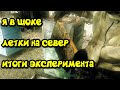 Вот Это Поворот! Летки Ульев На Север! Итоги Эксперимента На Пасеке. Где Больше Меда?