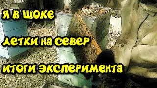 Вот Это Поворот! Летки Ульев На Север! Итоги Эксперимента На Пасеке. Где Больше Меда?