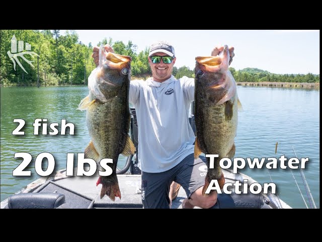 ⁣Major League Fishing VS Seek One: Unreal TOPWATER Choppo action with Justin Lucas and Justin Atkins