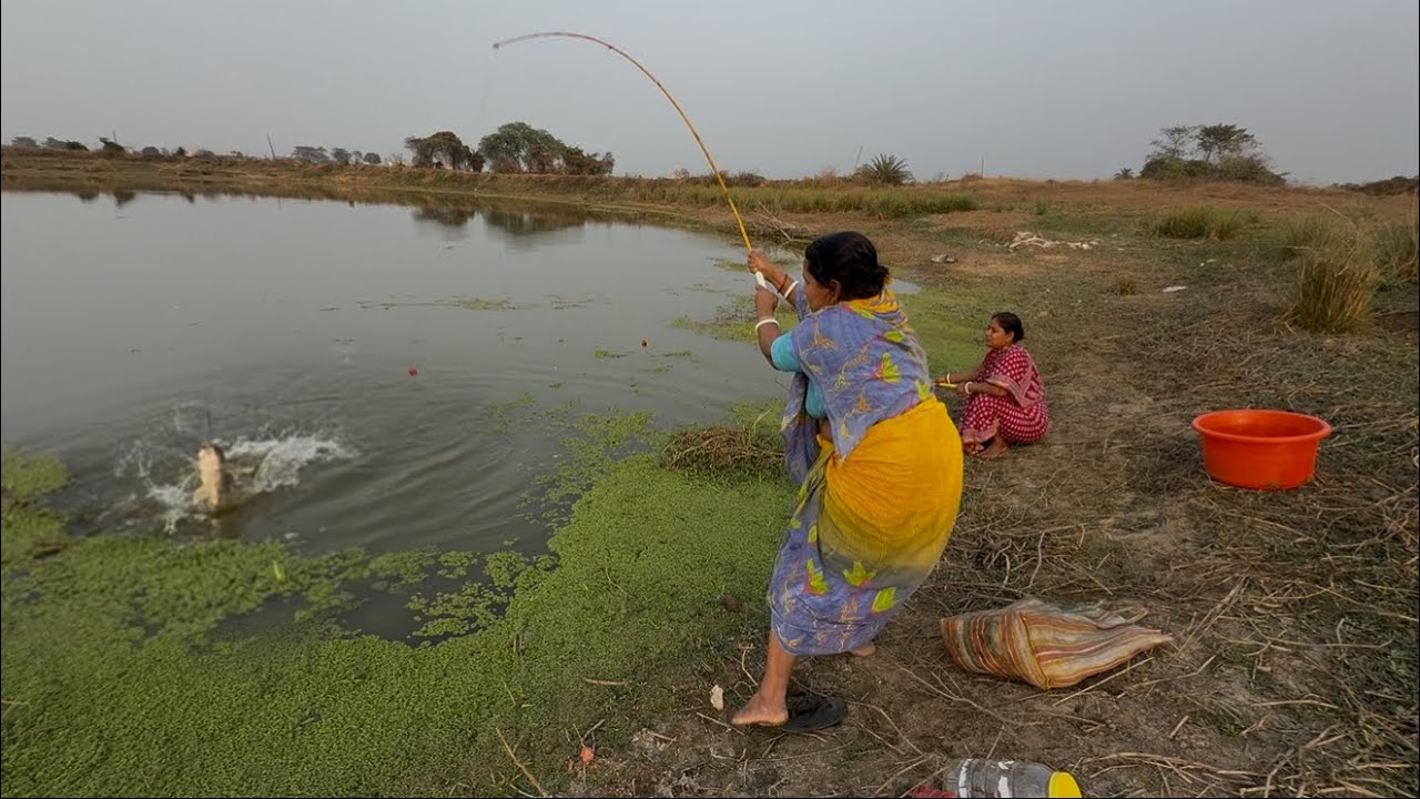 Fishing Video || Two skilled ladies is fishing in the village pond using hook || Fish Trap
