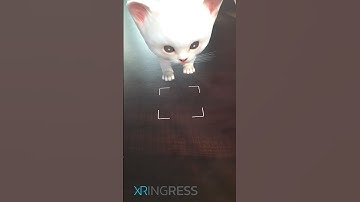 Plane Detection using Vuforia | AR cat walking in plane surface #shorts