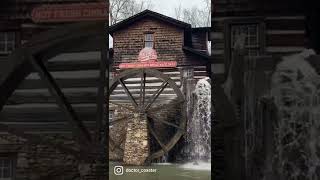 Dollywood Cinnamon Bread🤤 #shorts #dollywood #themepark #rides #pigeonforge #rollercoaster #travel