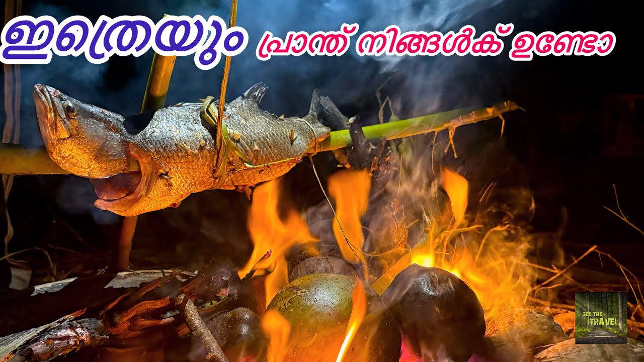 ഇതുപോലെ പ്രാന്ത് പിടിച്ച മീൻപിടുത്തം കണ്ടിട്ടുണ്ടോ