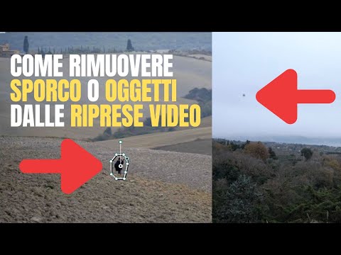 Video: Come Rimuovere le Strisce Steri: 9 Passaggi (con Immagini)