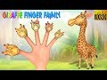 Giraffe finger family  rhymes for kids  finger family nursery rhymes  lollipop kids tv