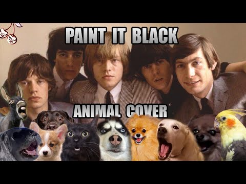 The Rolling Stones - Paint It Black Animal Cover