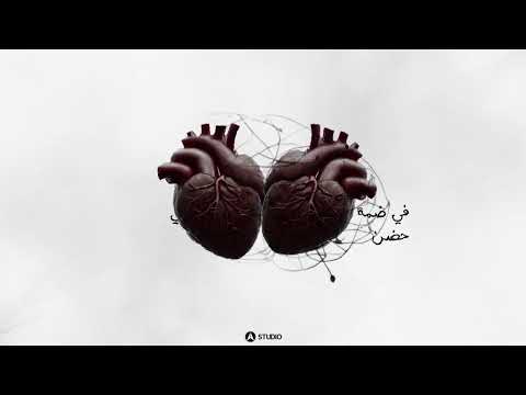 Ka2enny Ba3eesh Hany Eldakkak 2024