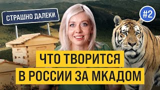 Чем Живёт Россия За Мкадом | Тигры Нападают На Людей | Жёлтые Реки Кузбасса | Страшно Далеки #2