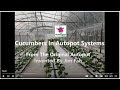 Episode 45  medialess maldives cucumbers from the original autopot invented by jim fah