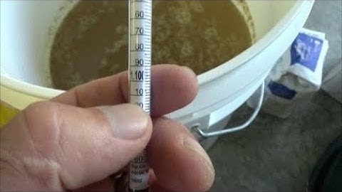 winemaking from grapes part 2 (sugar and yeast)