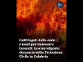 In Calabria, la Protezione Civile ha denunciato il ritrovamento di gatti usati come inneschi mobili
