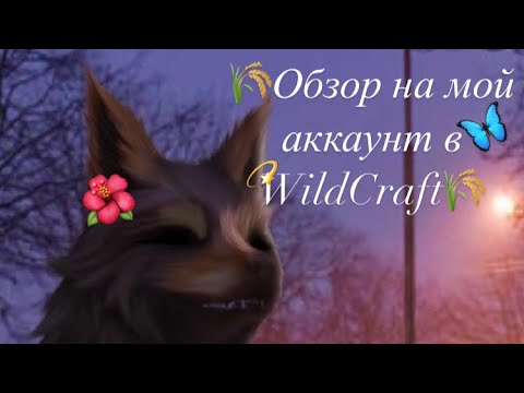 🌾Обзор на мой