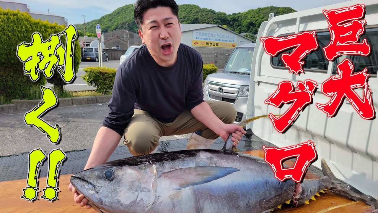 まぐろ A beginner at filleting giant tuna, Henoji has made sushi out of a