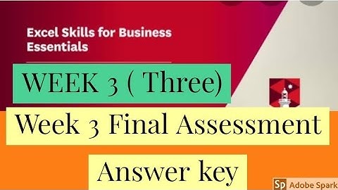 Excel skills for business essentials week 3 assessment answer key  coursera course || excel solution
