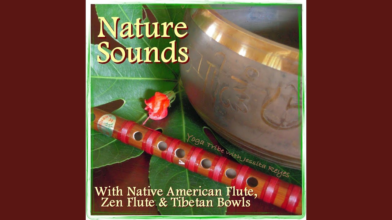 Watch Night Sounds Brings Peace on YouTube Watch Night Sounds Brings Peace on YouTube