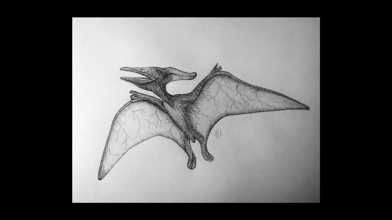 How To Draw A Pteranodon Easy - YouTube